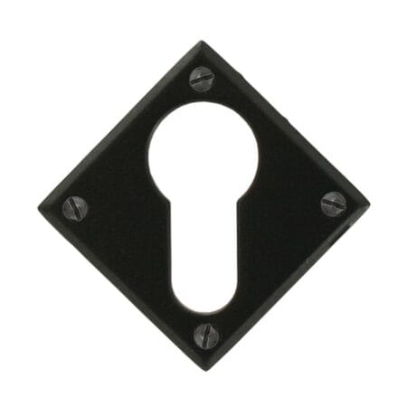 Black Diamond Euro Escutcheon | 33236