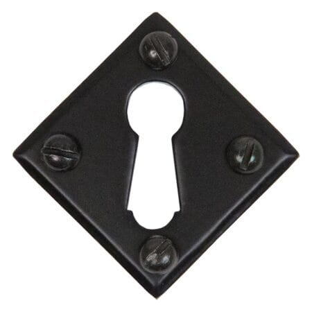 Black Diamond Escutcheon | 33965