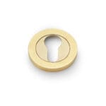 Alexander & Wilks Concealed Fix Escutcheon Euro Profile - Satin Brass PVD