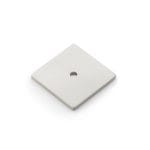 Alexander & Wilks Quantock Square Backplate - Satin Nickel