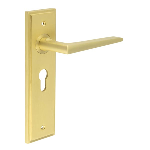 Mayfair Door Handle Euro Backplate Satin Brass