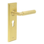 Frelan Piccadilly Door Handle Euro Backplate Satin Brass