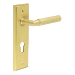Frelan Piccadilly Door Handle Din Euro Backplate Satin Brass