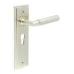 Frelan Piccadilly Door Handle Euro Backplate Satin Nickel