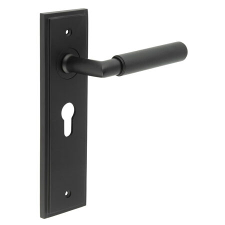 Frelan Piccadilly Door Handle Euro Backplate Matt Black