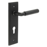 Frelan Piccadilly Door Handle Din Euro Backplate Matt Black