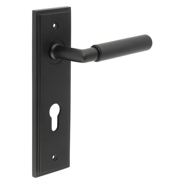 Frelan Piccadilly Door Handle Din Euro Backplate Matt Black