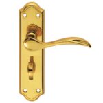 Madrid Lever on WC Backplate (DL192)