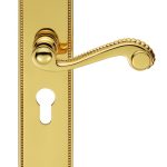 Chesham Lever on Euro Lock Long Backplate (DL271Y)