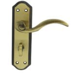 Wentworth Lever on WC Backplate (DL342FB)