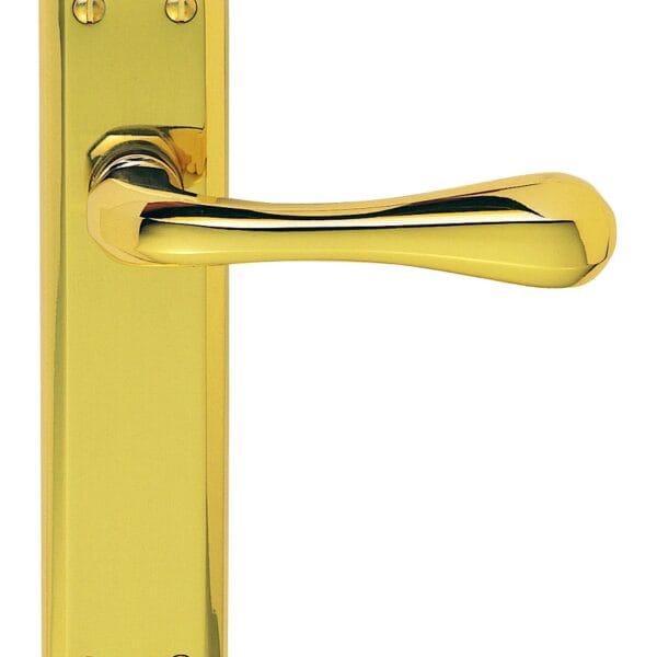 Eden Lever on Latch Backplate (DL411)