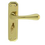 Eden Lever on WC Backplate (DL412)