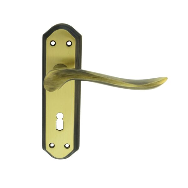Lytham Lever on Lock backplate (DL450FB)