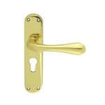 Astro Lever on Euro Lock Backplate (EL21Y)