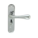 Astro Lever on WC Backplate (EL23CP)