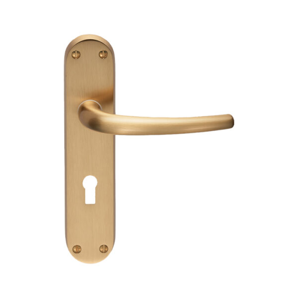 Lilla Lever on Lock Backplate (EL31SB)