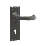 Regal Suite Door Handle on Lockplate Black