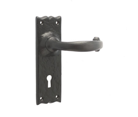 Regal Suite Door Handle on Lockplate Black