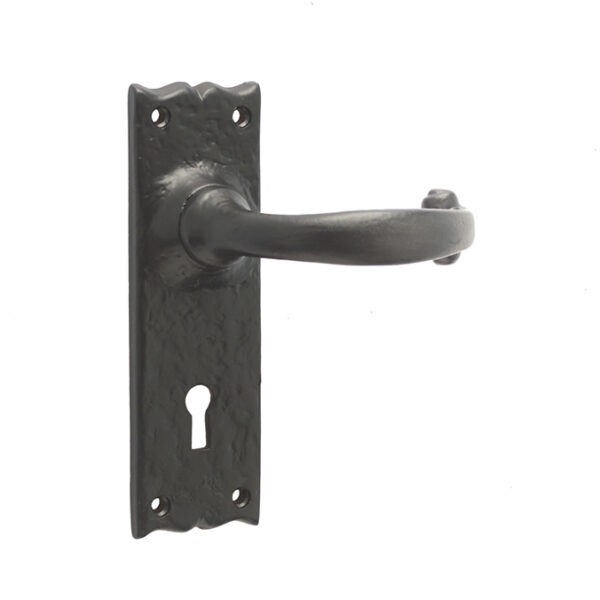 Regal Suite Door Handle on Lockplate Black