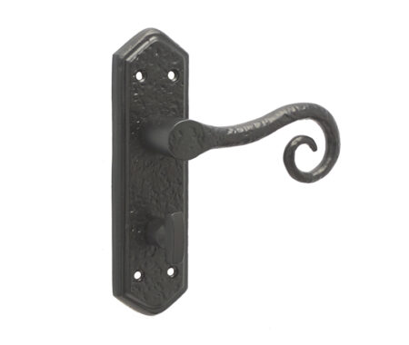 Royal Suite Door Handle on Bathroom Plate Black