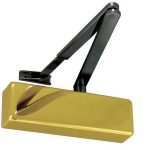 Jedo Standard Door Control with Black Arms en-2-4 Polished Brass