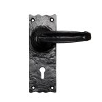 Traditional V Lever on Lock Backplate (LF5516)