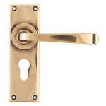 From the Anvil Polished Bronze Avon Lever Euro Lock Set