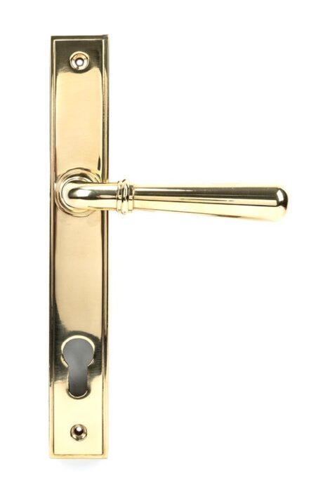 From the Anvil Polished Brass Newbury Slimline Lever Espag. Lock Set