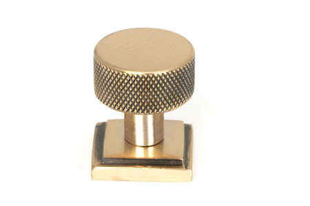 Polished Bronze Brompton Cabinet Knob - 25mm (Square) | 46833