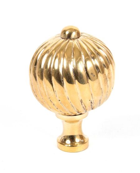 Polished Brass Spiral Cabinet Knob - Large | 83552