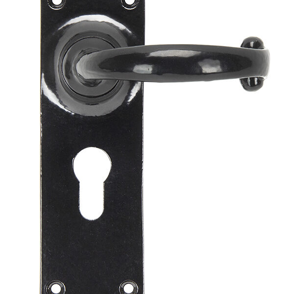 Black Cottage Lever Euro Lock Set | 91966
