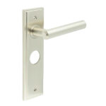 Frelan Richmond Door Handle Bathroom Backplate Satin Nickel