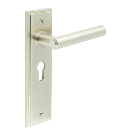 Frelan Richmond Door Handle Euro Backplate Satin Nickel