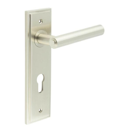 Frelan Richmond Door Handle Din Euro Backplate Satin Nickel