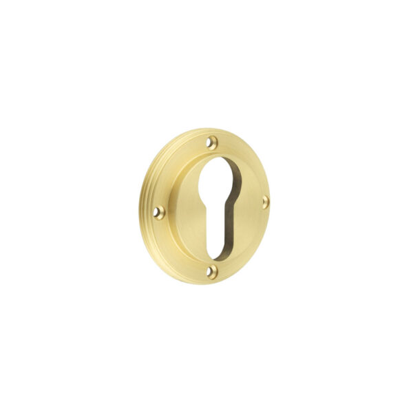 Burlington Euro Profile Escutcheons No Rose Satin Brass