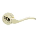 Turin Door Handles Brass Finish