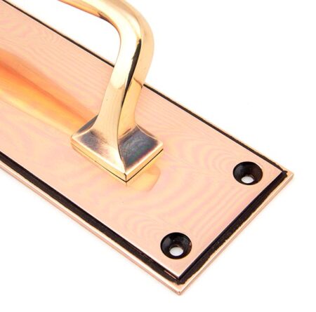 Polished Bronze 300mm Art Deco Pull Handle on Backplate | 45383 - Image 4