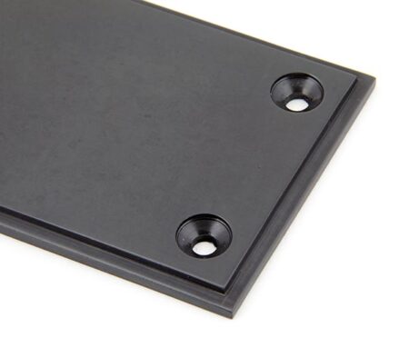Aged Bronze 300mm Art Deco Fingerplate | 45392 - Image 3