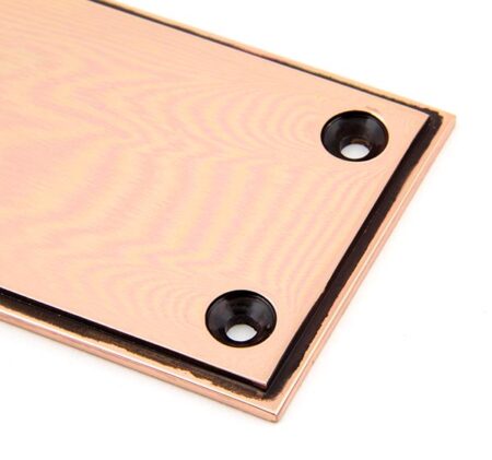 Polished Bronze 300mm Art Deco Fingerplate | 45393 - Image 3