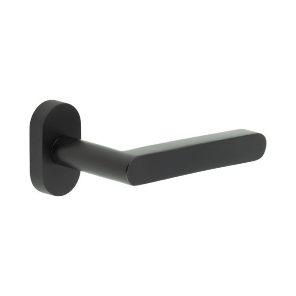 CR-101 Black Multi Point Oval Rose Door Handle