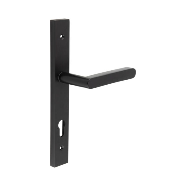 CR-101 Black Multi Point Backplate Door Handle