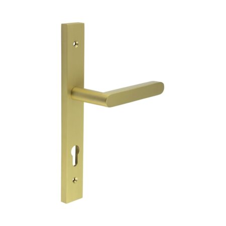 CR-101 Satin Brass Multi Point Backplate Door Handle