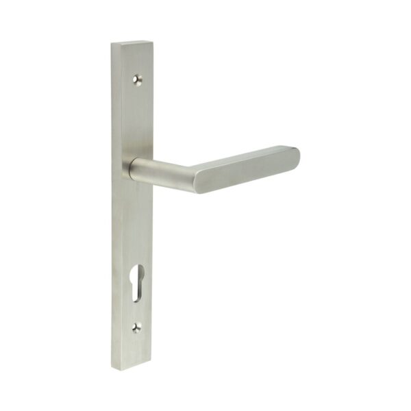 CR-101 Satin Stainless Steel Multi Point Backplate Door Handle