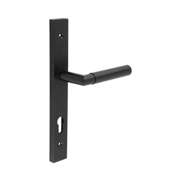 CR-102 Black Multi Point Backplate Door Handle
