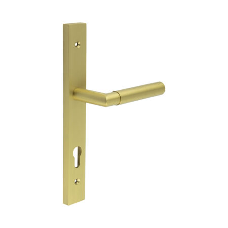 CR-102 Satin Brass Multi Point Backplate Door Handle