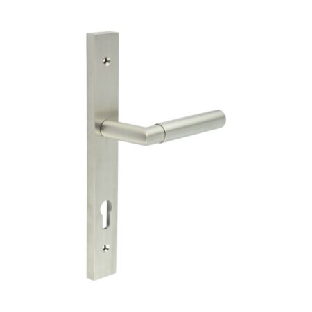 CR-102 Satin Stainless Steel Multi Point Backplate Door Handle