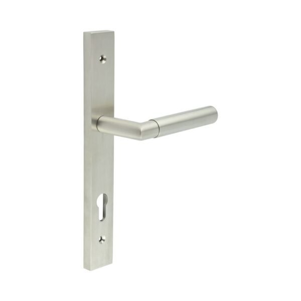 CR-102 Satin Stainless Steel Multi Point Backplate Door Handle