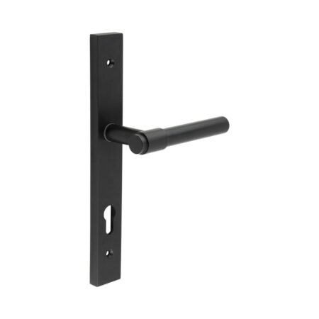 CR-103 Black Multi Point Backplate Door Handle
