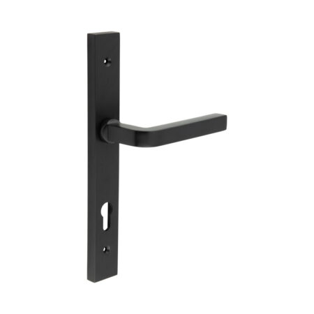 CR-104 Black Multi Point Backplate Door Handle
