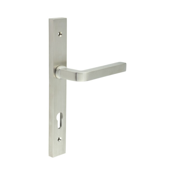 CR-104 Satin Stainless Steel Multi Point Backplate Door Handle